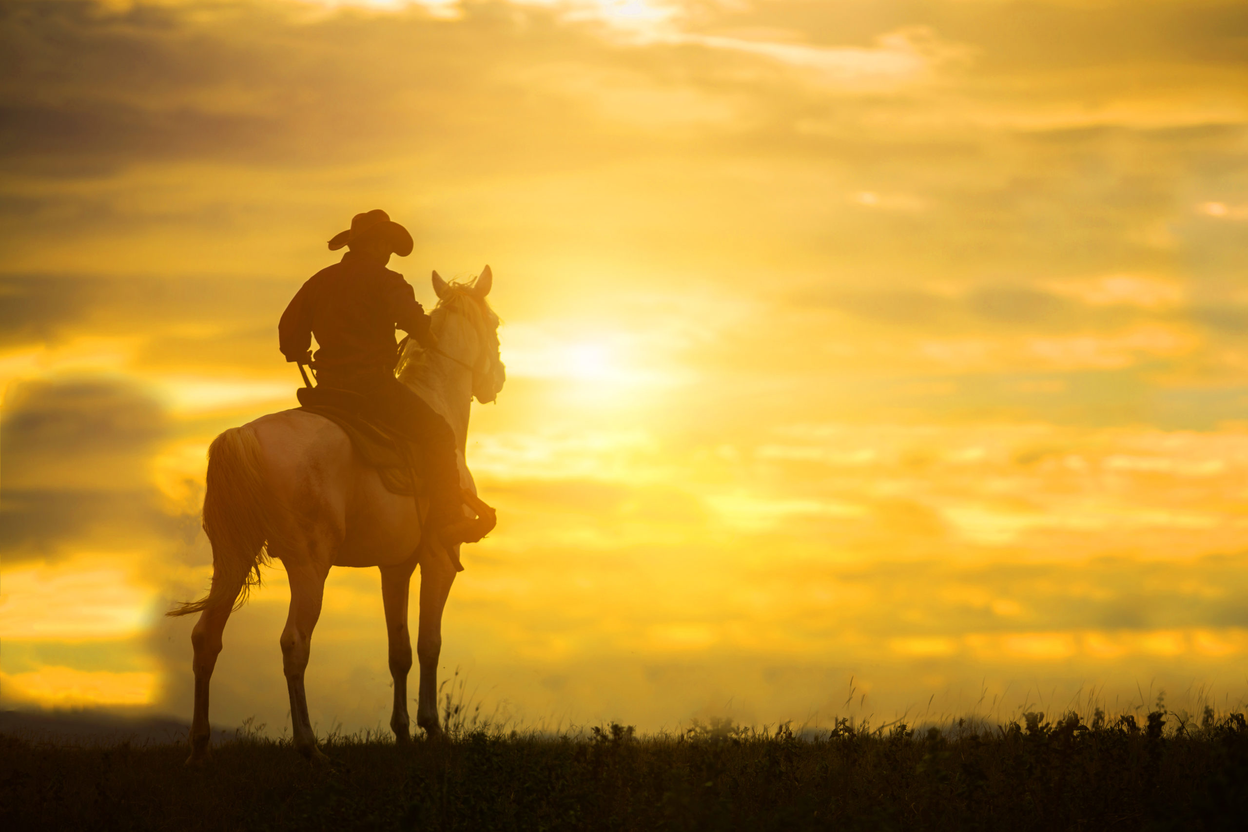 A person riding a horse in a field at sunset